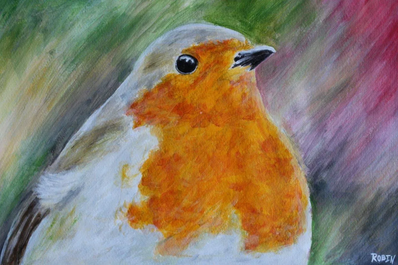 Wild robin — painting